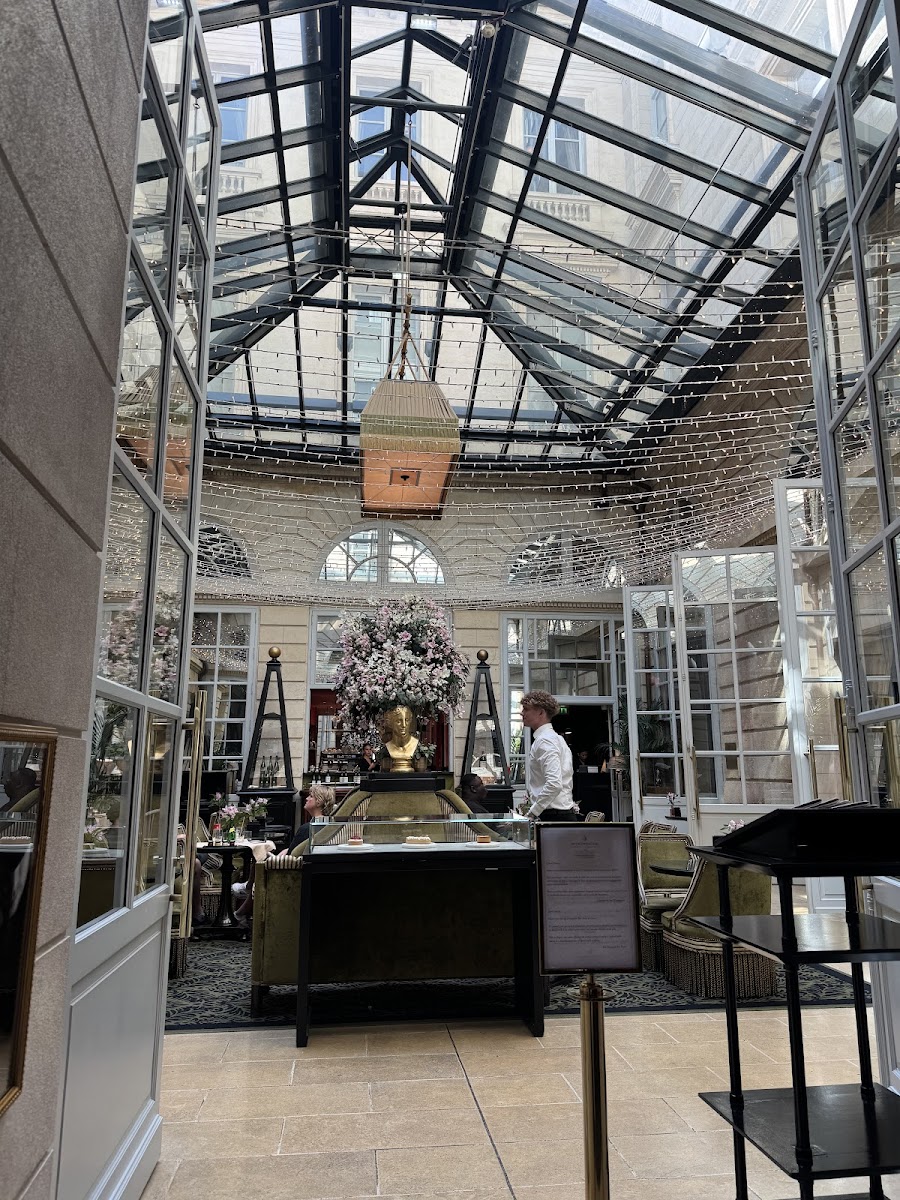 Bar L'Orangerie - InterContinental - Photo 1