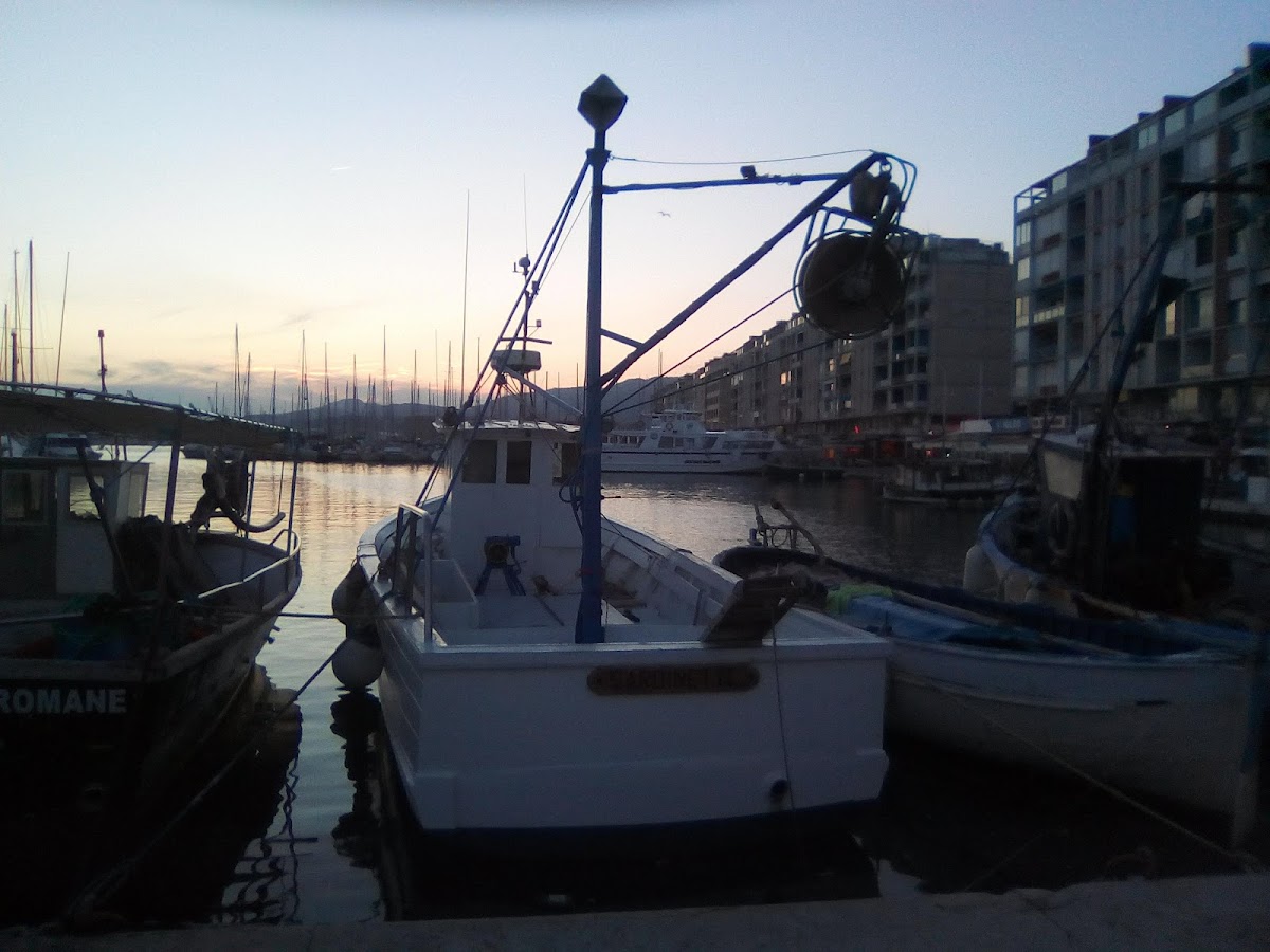 Le Nautique - Photo 1