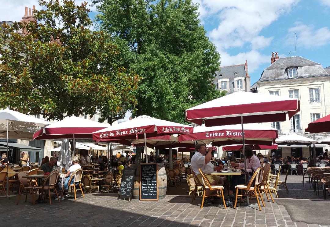 Le Vieux Mûrier - Photo 1