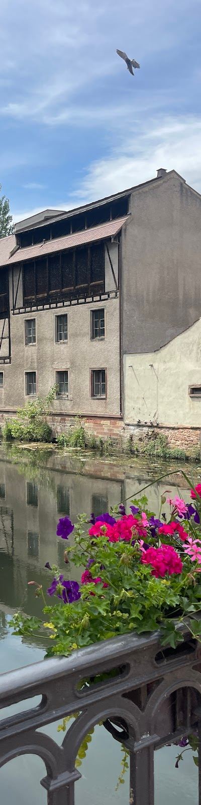 Favéla — Strasbourg