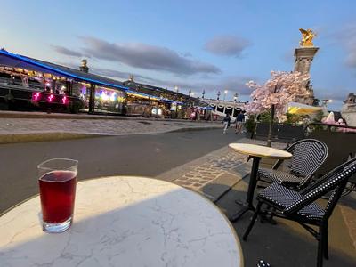 Bistrot Alexandre III — Paris