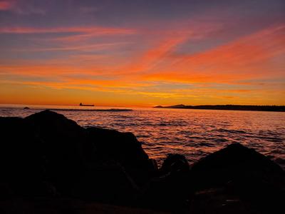 BAR LOUIS Lyon - Photo 2