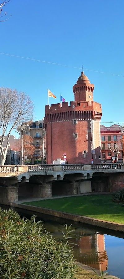 Le Castillet - Photo 2