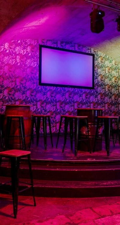 Levrette Café Bordeaux — Bordeaux