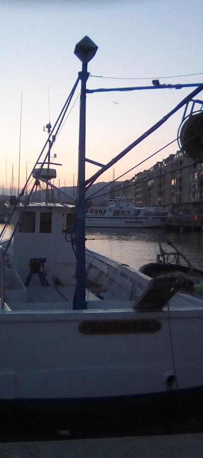 Le Nautique — Toulon