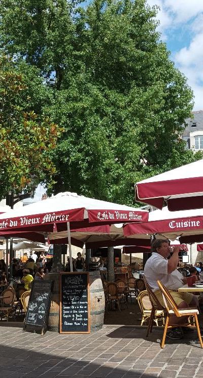 Le Vieux Mûrier — Tours