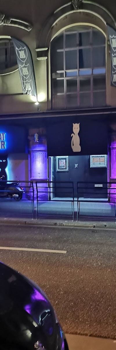 Le Chat Noir - Photo 2