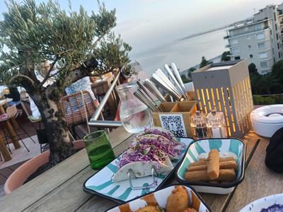 Farago on the Roof - Photo 3