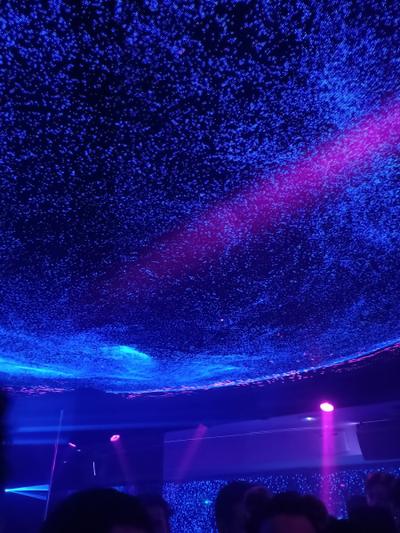 Limelight - Photo 2