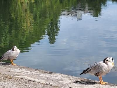 Le Port du Canal - Photo 3