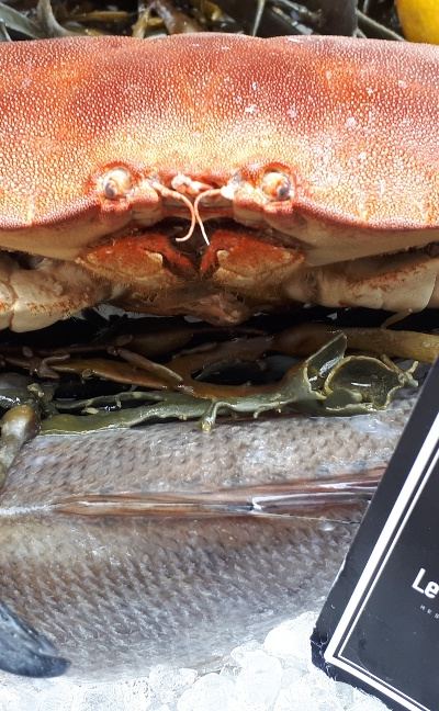 Le Coquillage - Photo 2