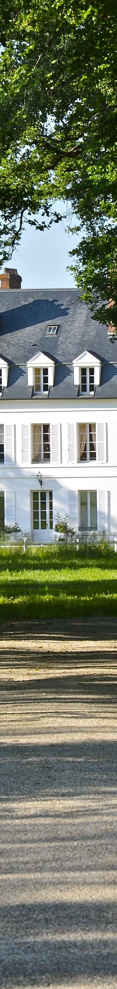 Domaine du Roncemay — Chassy