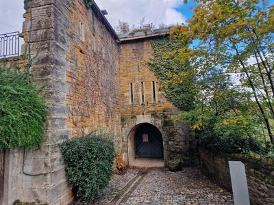 Le Fort de Vaise - Photo 3