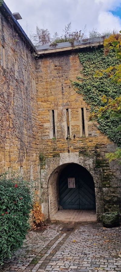 Le Fort de Vaise - Photo 3
